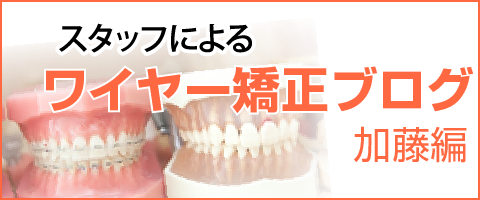 ワイヤー矯正ブログ