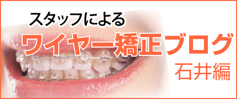 ワイヤー矯正ブログ