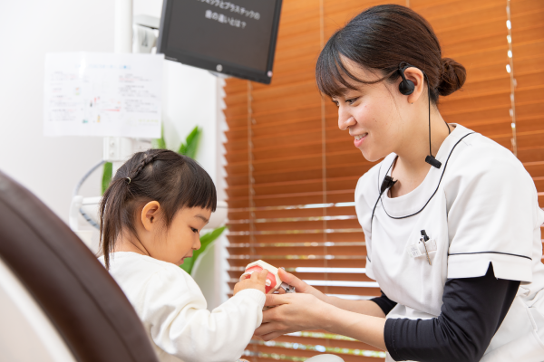 模型を使ってお子様に説明するスタッフ