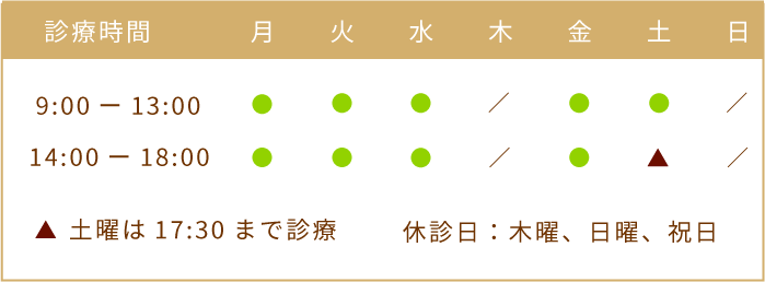 診療時間9:00-13:00、14:00-18:00、土曜は17:30まで診療、休診日は木曜日曜祝日