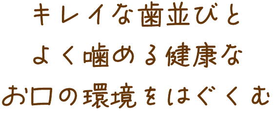 キレイな歯並びを育む